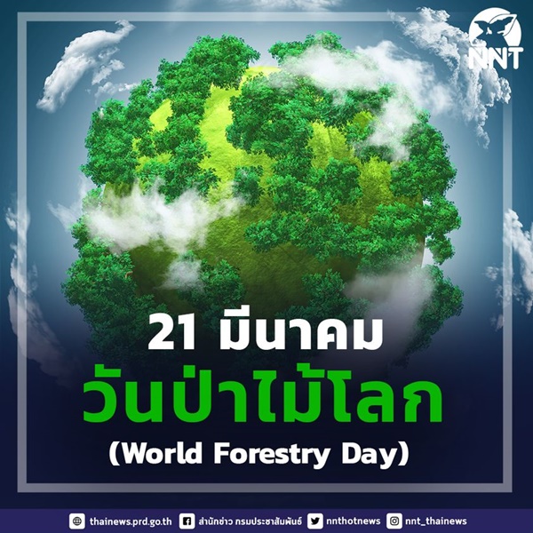วันป่าไม้โลก (World Forestry Day)