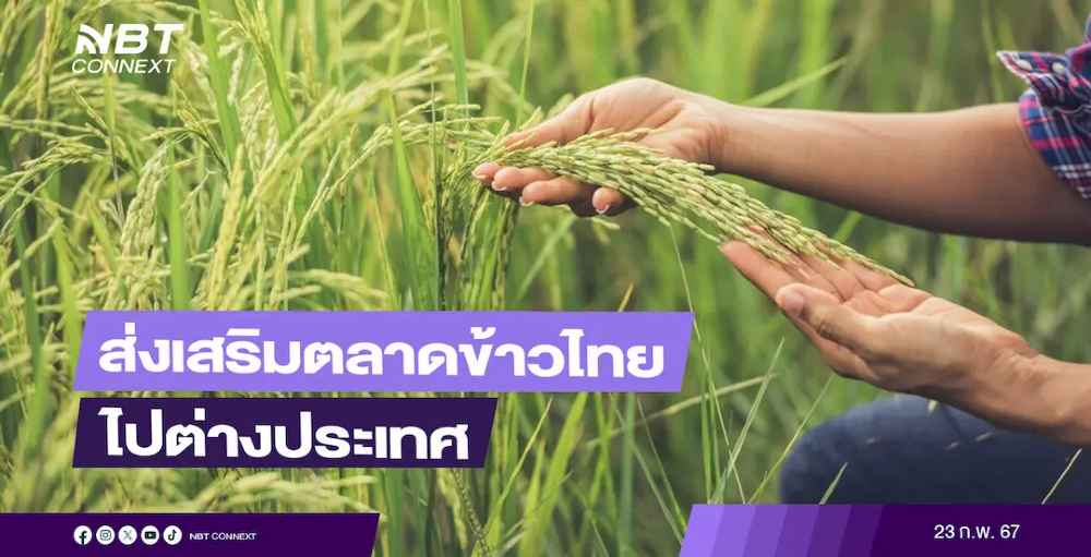 กรมการค้าต่างประเทศ คาด ปีนี้ส่งออกข้าวไทย 7 ล้าน 5 แสนตัน เร่งส่งเสริมตลาดข้าว มุ่งเน้นประชาสัมพันธ์ข้าวไทยในตลาดต่างประเทศ