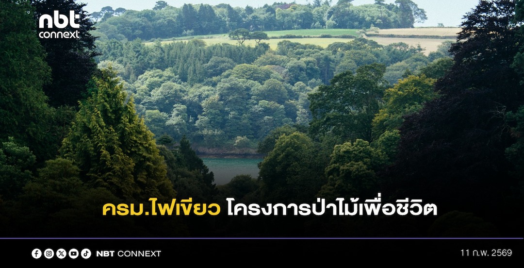ครม.ไฟเขียว​ ​โครงการป่าไม้เพื่อชีวิต พลิกฟื้นผืนป่า​ 4 พื้นที่สำคัญทั่วไทย​