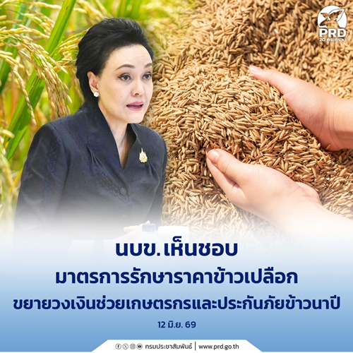 นบข. เห็นชอบมาตรการ รักษาราคาข้าวเปลือก ขยายวงเงินช่วยเกษตรกร