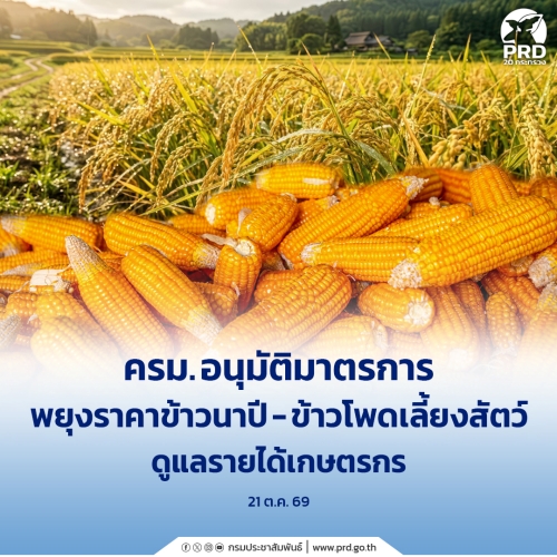 ครม. อนุมัติมาตรการพยุงราคาข้าวนาปี&ndash;ข้าวโพดเลี้ยงสัตว์